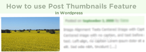 How to Use Post Thumbnails Feature in Wordpress